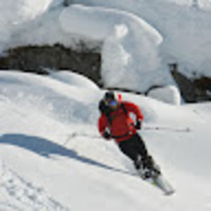 Meet your Posher, Zach